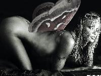  (1024x768, 264 k...)