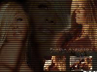  (1024x768, 453 k...)