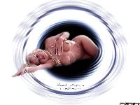  (1024x768, 201 k...)