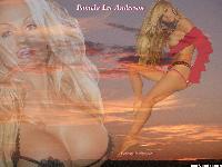  (1024x768, 256 k...)