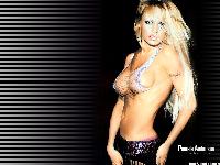  (1024x768, 255 k...)