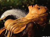  (1024x768, 348 k...)