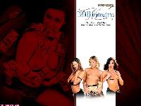  (1152x864, 179 k...)