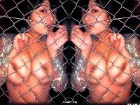  (1024x768, 427 k...)